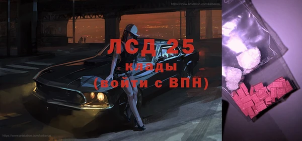 амф Новодвинск