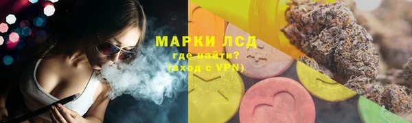 амф Новодвинск