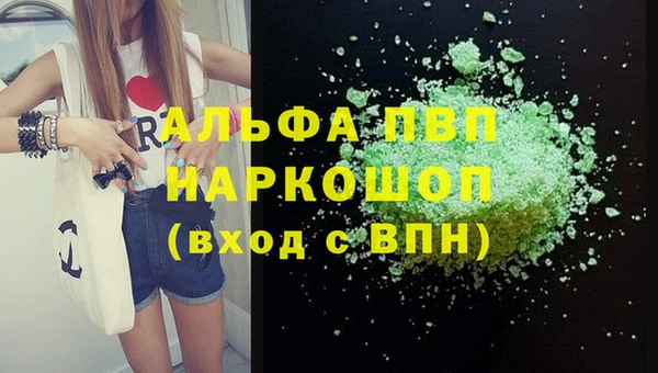 амф Новодвинск