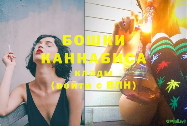 амф Новодвинск