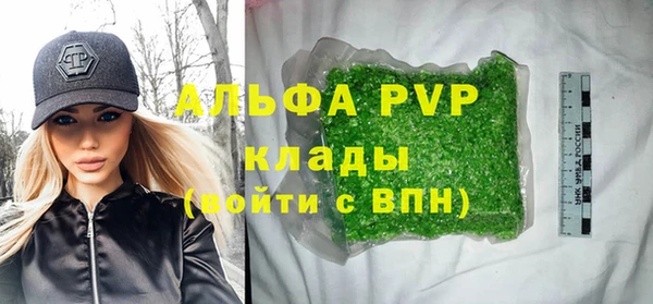 амф Новодвинск