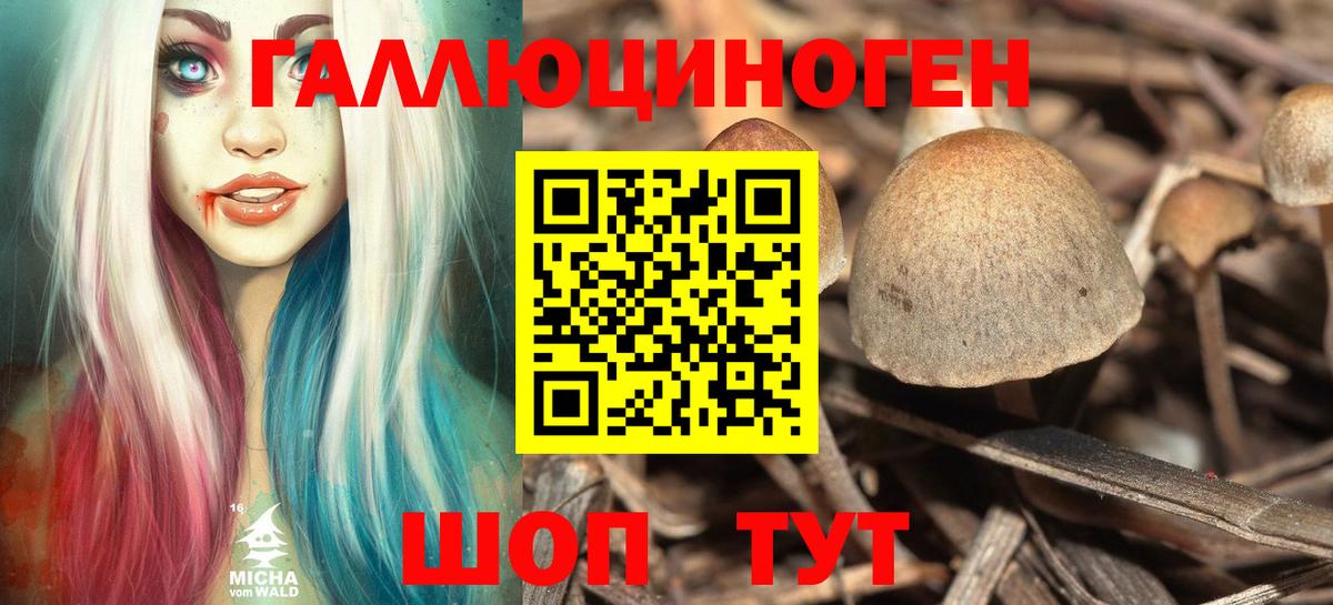 Крымск  Галлюциногенные грибы GOLDEN TEACHER  Вход с VPN 