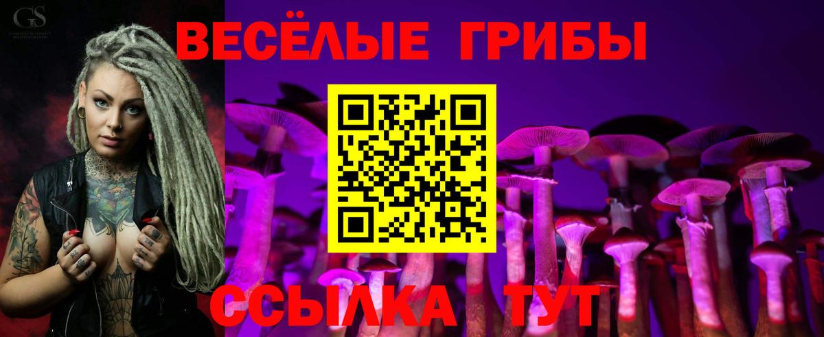 Галлюциногенные грибы Psilocybe Крымск